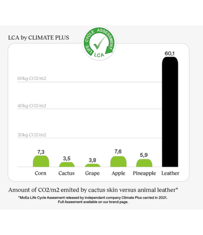 MoEa •• Sneaker Cactus White - GEN1