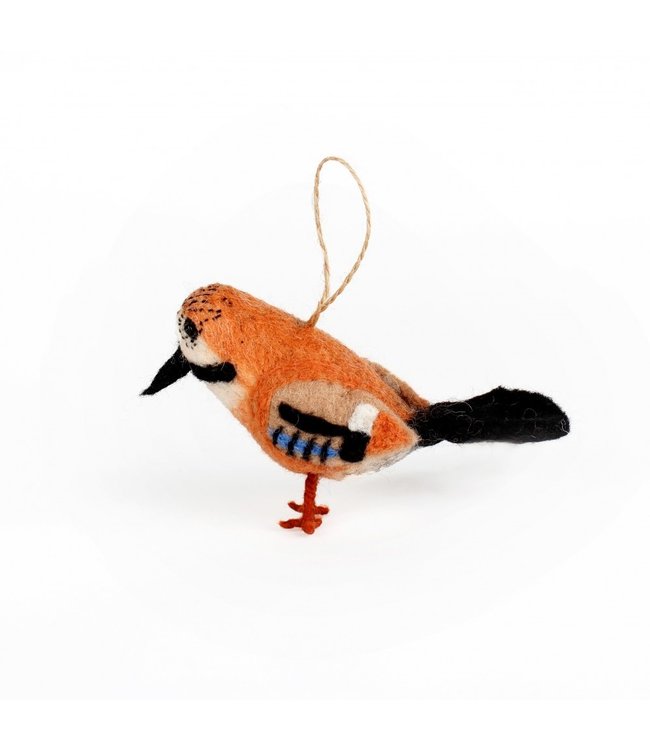 SJAAL MET VERHAAL  •• Vlaamse Gaai