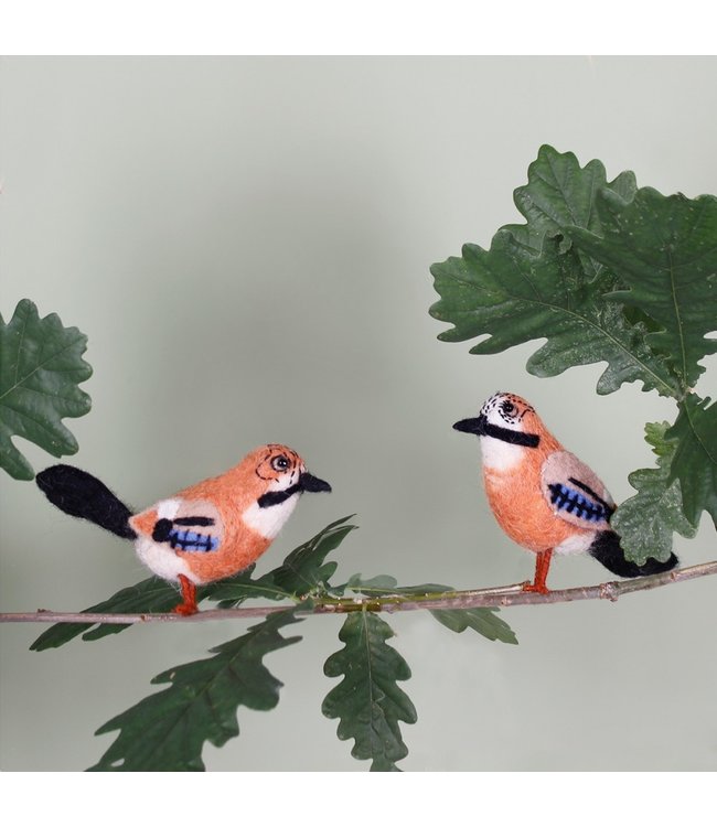 SJAAL MET VERHAAL  •• Vlaamse Gaai