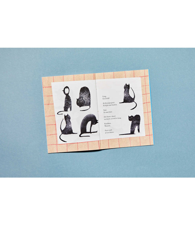 Loopvis •• Kakkerlakje | LOTJE IS ZIEK