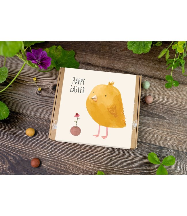 BLOSSOMBS •• GIFT BOX MEDIUM – EASTER – CHICK