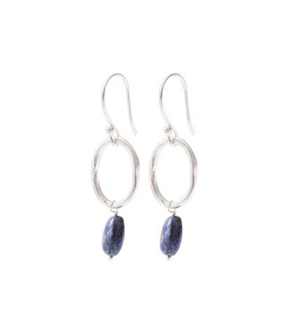 A BEAUTIFUL STORY •• Graceful Lapis Lazuli Zilver Oorbellen