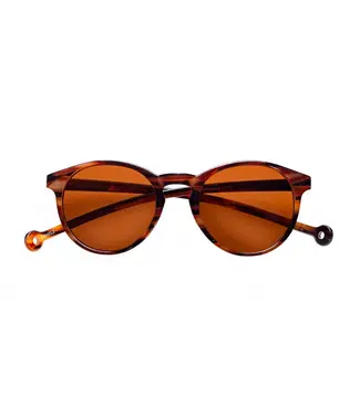 PARAFINA •• Isla Amber Tortoise Royal Caramel Sunglasses