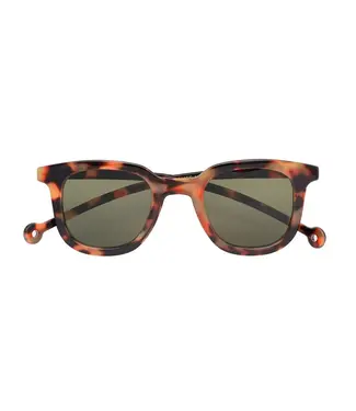 PARAFINA •• Cauce Tortoise Green Sunglasses