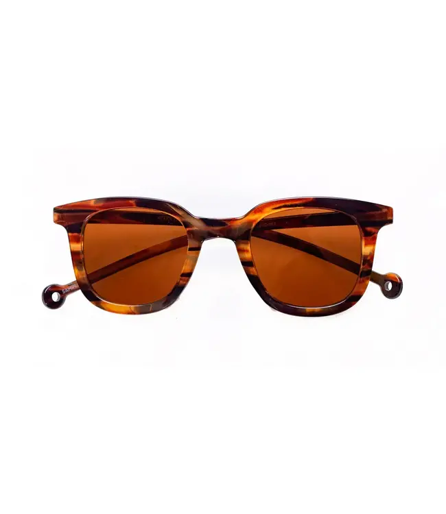 PARAFINA •• Cauce Amber Tortoise Caramel Sunglasses