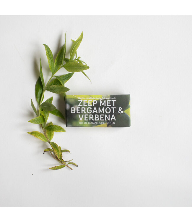 WERFZEEP •• Botanische Tuinenzeep - bergamot & verbena