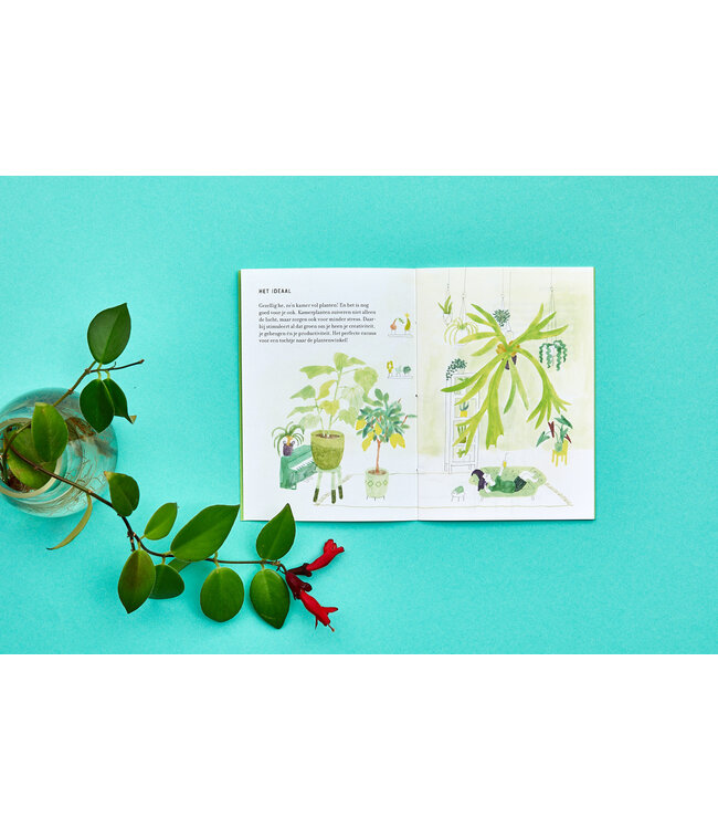 Loopvis •• Kakkerlakje | Groene vingers