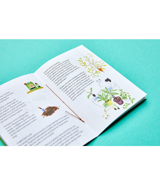 Loopvis •• Kakkerlakje | Groene vingers