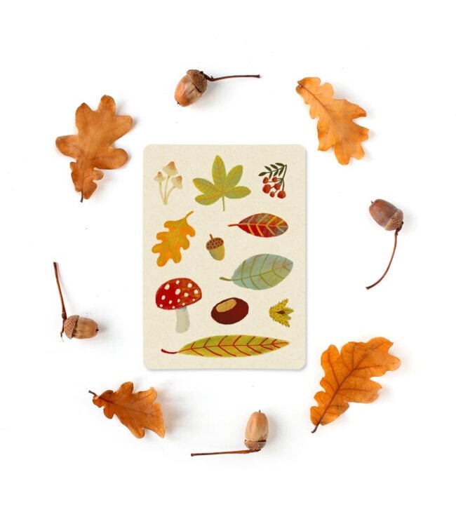 Illu-ster •• Ansichtkaart | Autumn collection