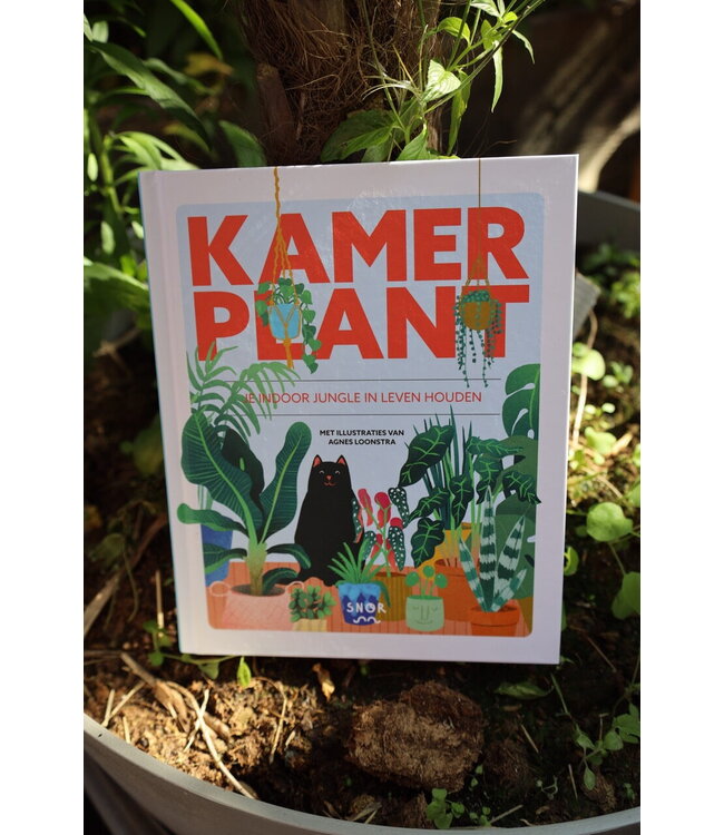 De Wereld van Snor •• Kamerplant