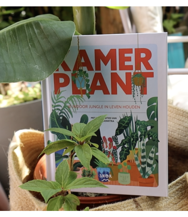De Wereld van Snor •• Kamerplant
