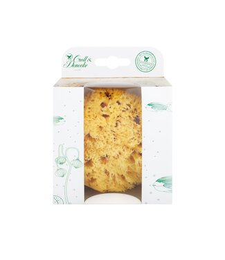 ••  NATUUR SPONS IN ECO CADEAU VERPAKKING - MAAT L