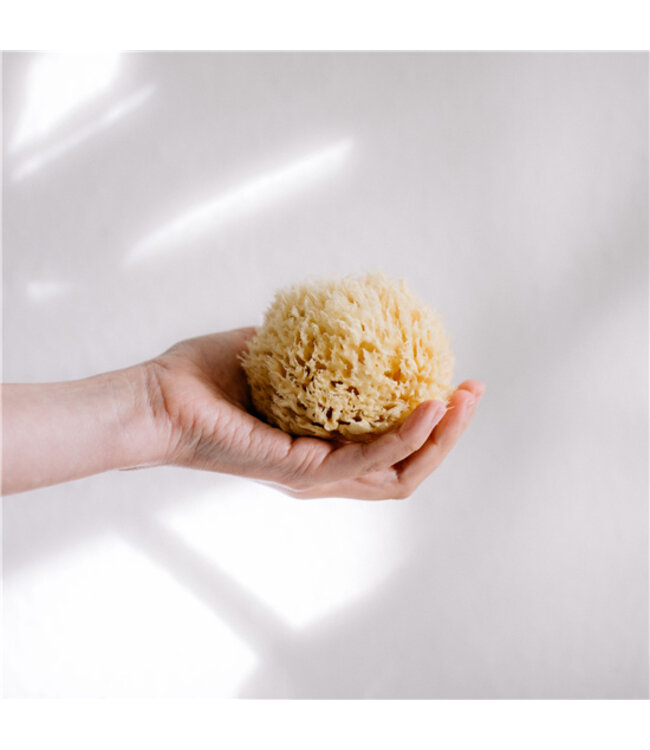 •• NATUUR SPONS IN ECO CADEAU VERPAKKING - MAAT L
