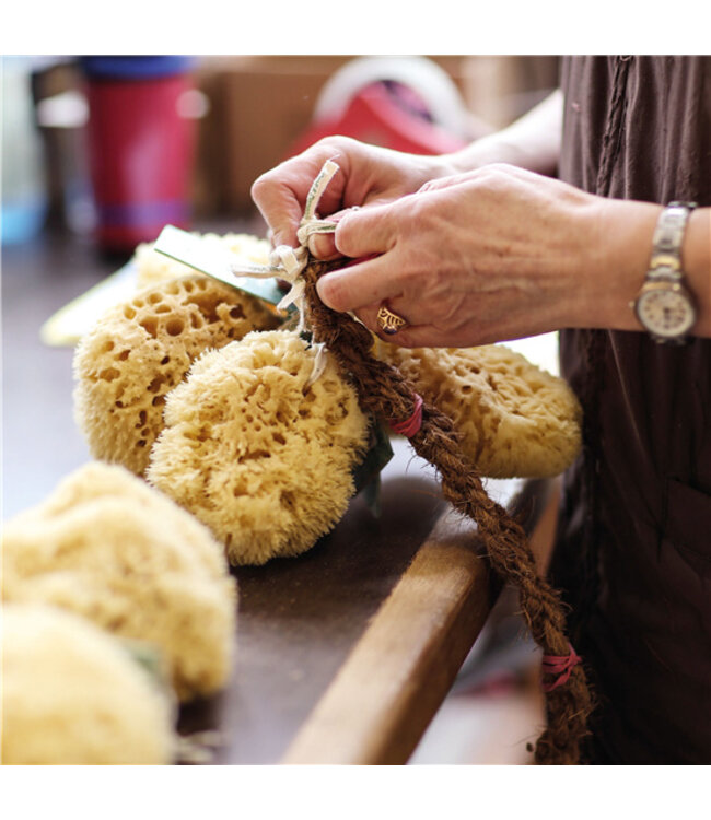 •• NATUUR SPONS IN ECO CADEAU VERPAKKING - MAAT M