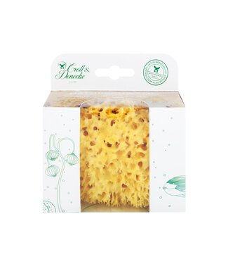 Croll en Denecke ••  NATUUR SPONS IN ECO CADEAU VERPAKKING - MAAT M