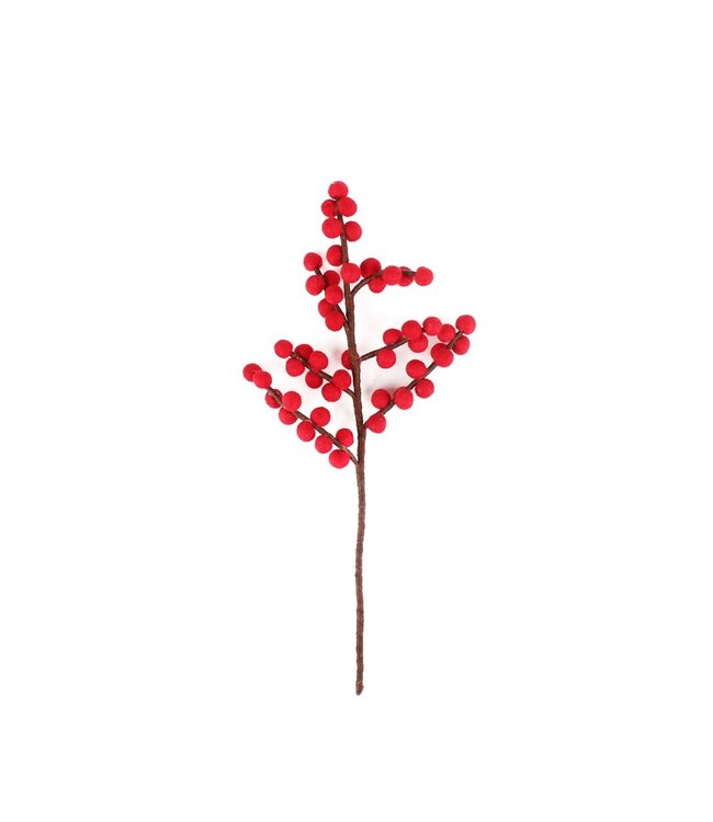 SJAAL MET VERHAAL  •• Tak met Rode Besjes | gemaakt van wol vilt