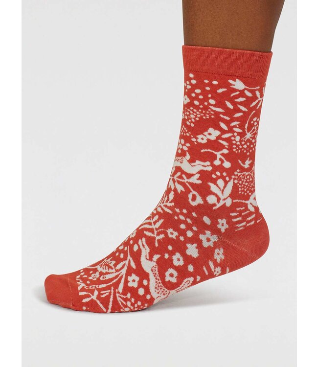 THOUGHT  •• Yealla Woodlands Organic Cotton 4 pack | multi