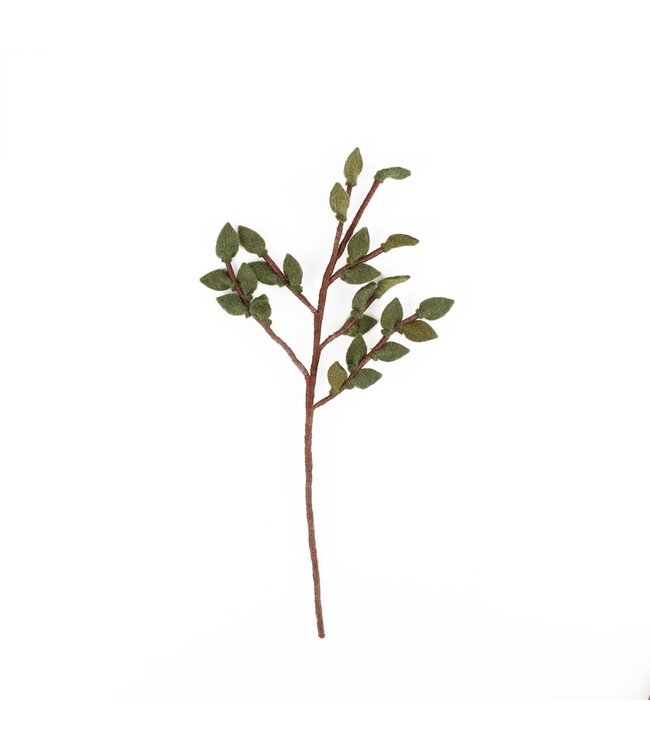 SJAAL MET VERHAAL  •• Tak met groene blaadjes