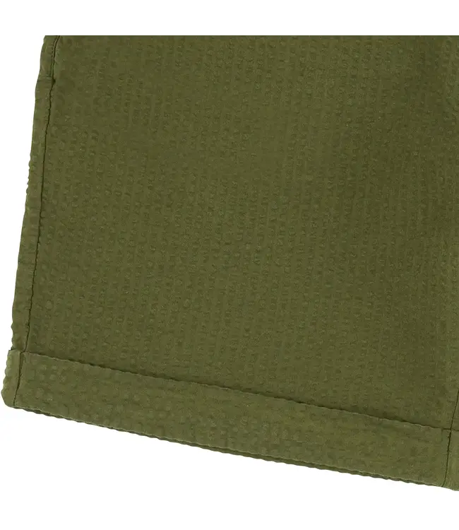 BASK IN THE SUN •• GABI Shorts | Cactus