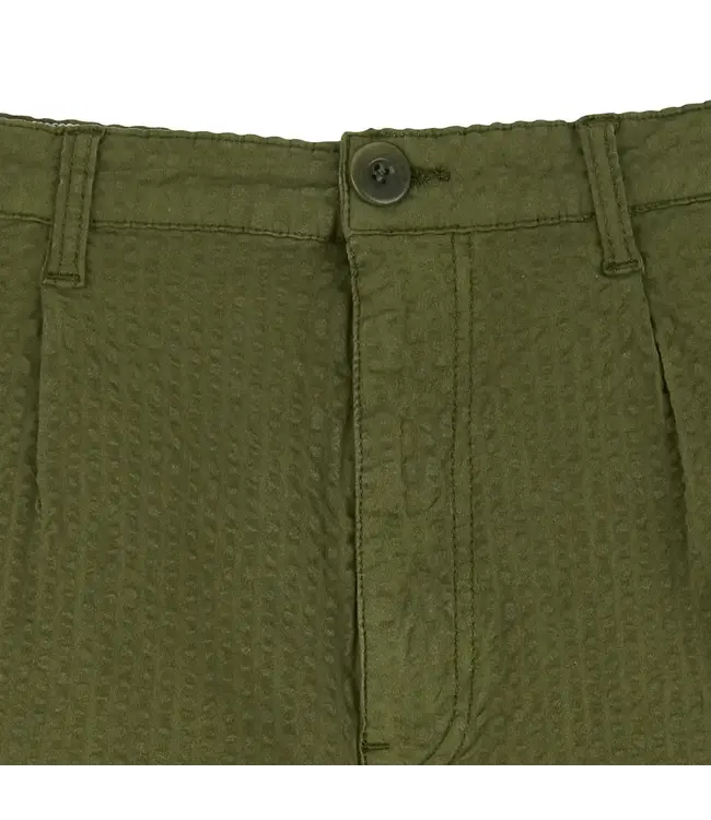 BASK IN THE SUN •• GABI Shorts | Cactus