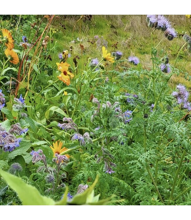 Bloom •• Flowerheart | Plantbaar hart van biologische klei