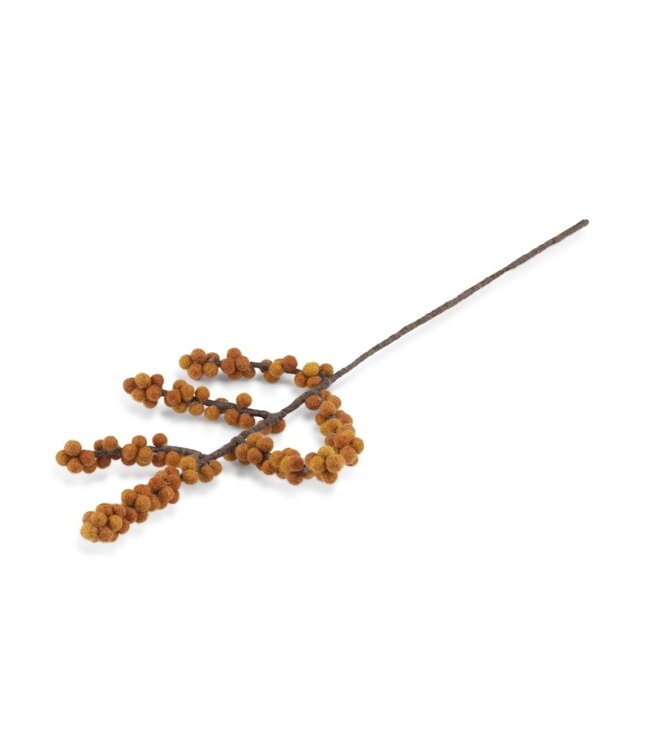 SJAAL MET VERHAAL  •• Tak Bes Ilix Oranje