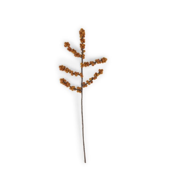 SJAAL MET VERHAAL  •• Tak Bes Ilix Oranje