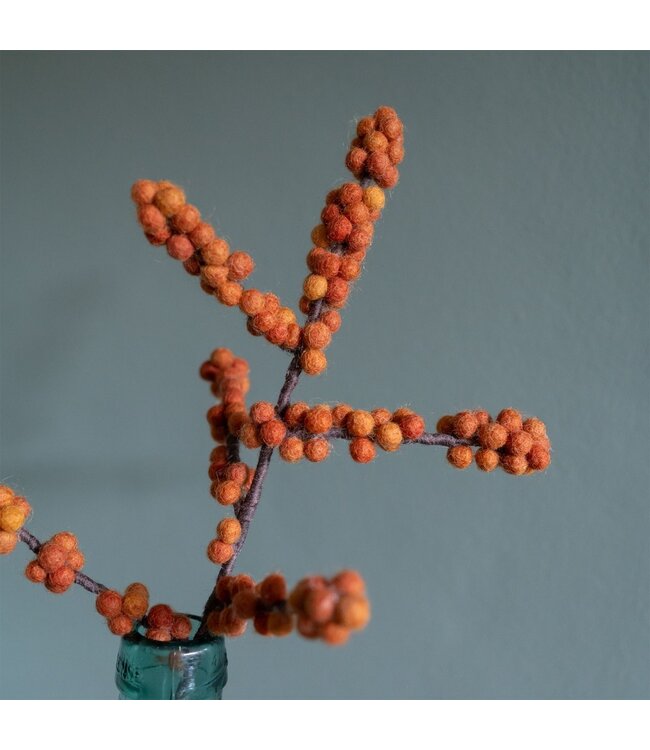 SJAAL MET VERHAAL  •• Tak Bes Ilix Oranje