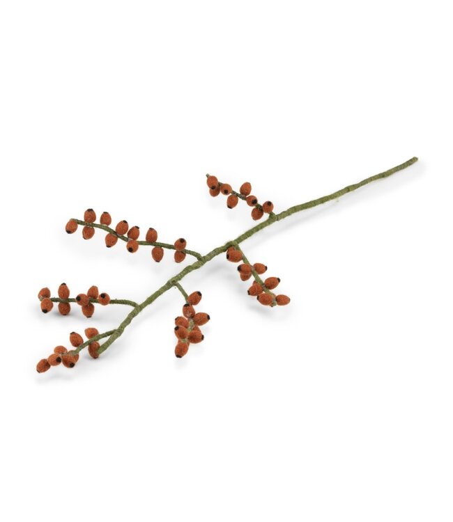 SJAAL MET VERHAAL  •• Tak Bes Rozenbottel