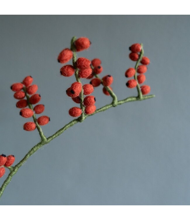 SJAAL MET VERHAAL  •• Tak Bes Rozenbottel