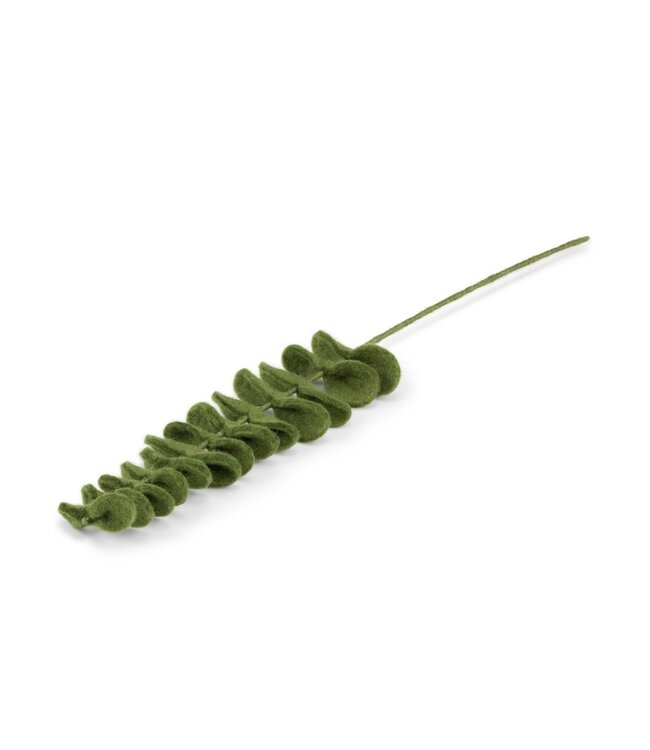 SJAAL MET VERHAAL  •• Tak Eucalyptus