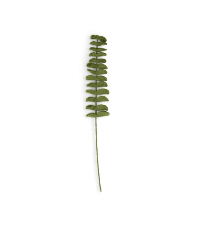 SJAAL MET VERHAAL  •• Tak Eucalyptus