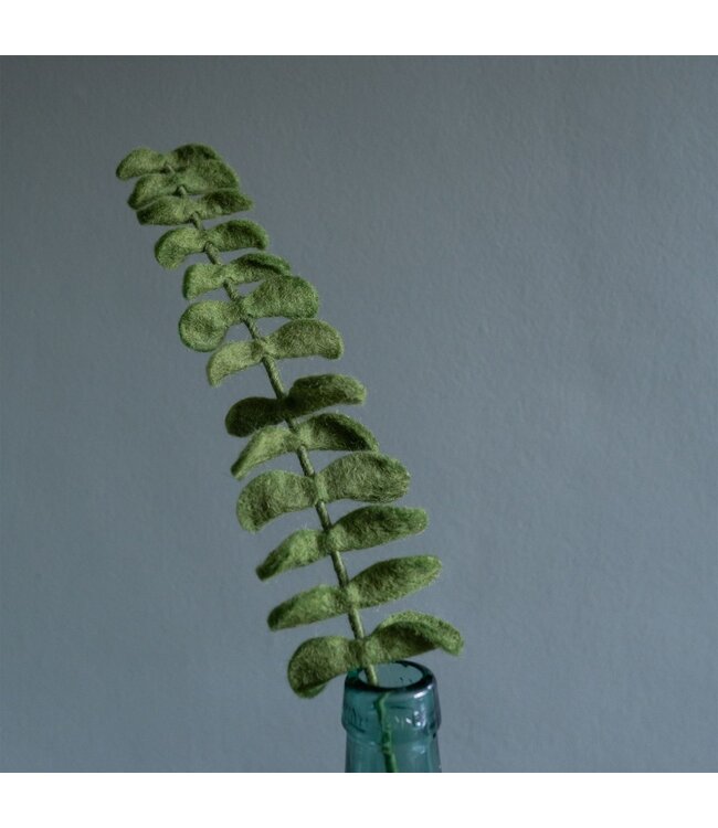 SJAAL MET VERHAAL  •• Tak Eucalyptus