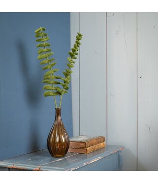 SJAAL MET VERHAAL  •• Tak Eucalyptus