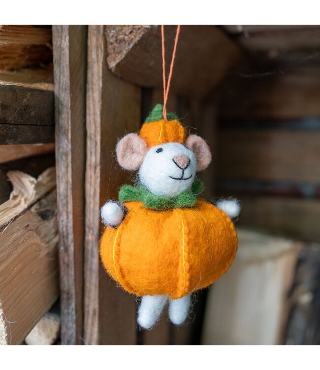 SJAAL MET VERHAAL  •• Hanger Muis Pompoen