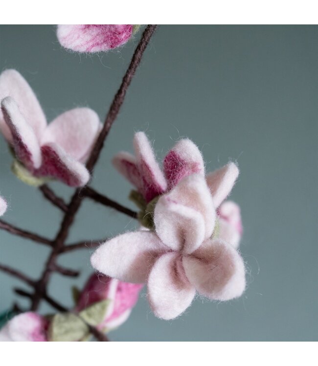 SJAAL MET VERHAAL  •• Tak Magnolia