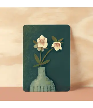 Illu-ster •• Ansichtkaart | Helleborus
