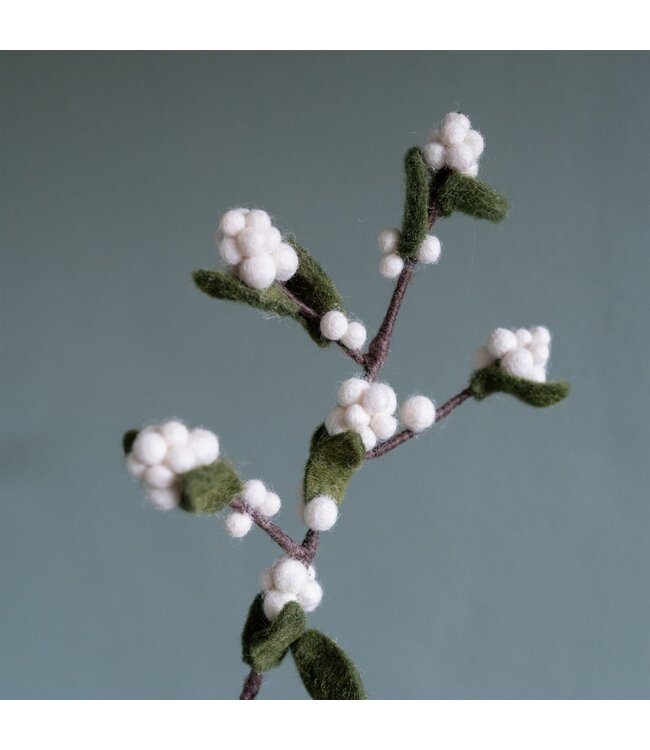 SJAAL MET VERHAAL  •• Tak Bes Wit