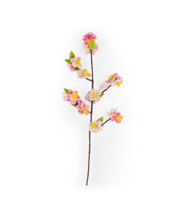 SJAAL MET VERHAAL  •• Tak Appelbloesem