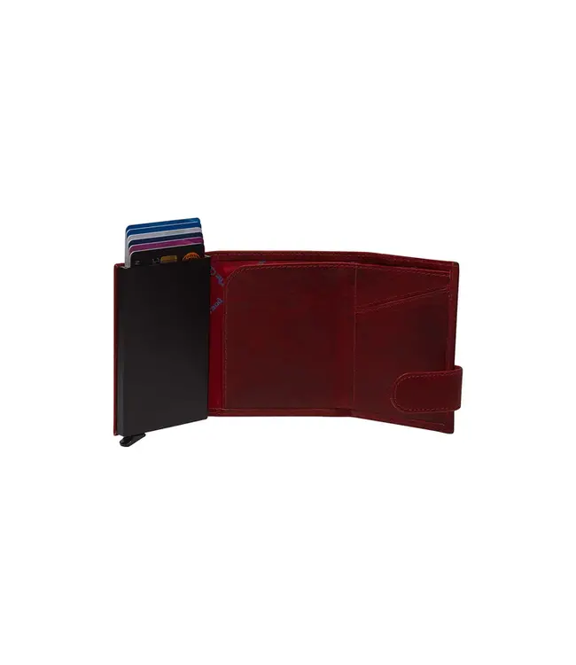 CHESTERFIELD •• Pashouder Mannheim