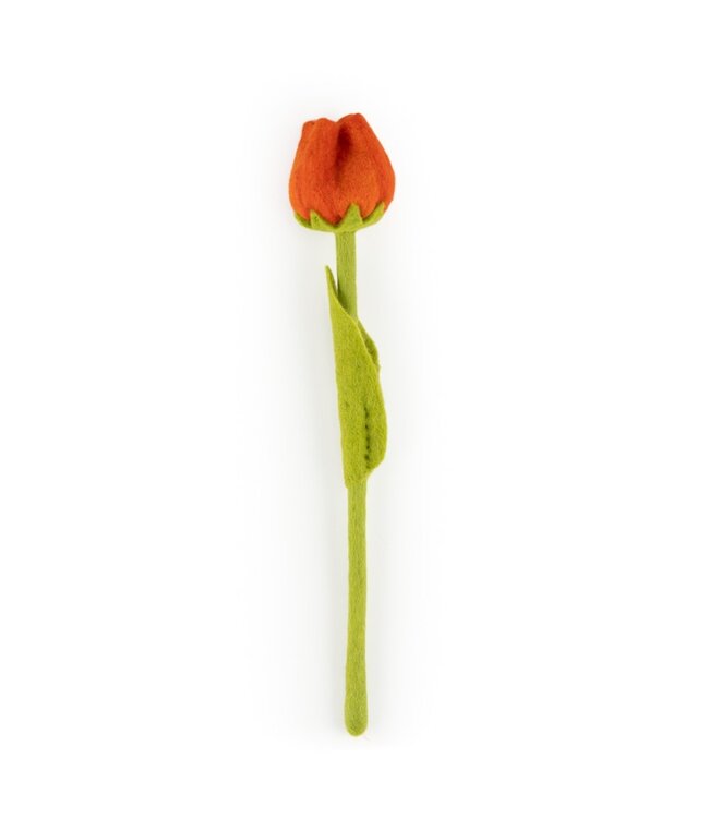 SJAAL MET VERHAAL  •• Tulp | Multicolor