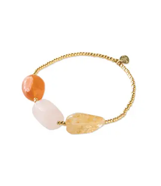A BEAUTIFUL STORY •• Desirable Carn Rose Citr Bracelet GC