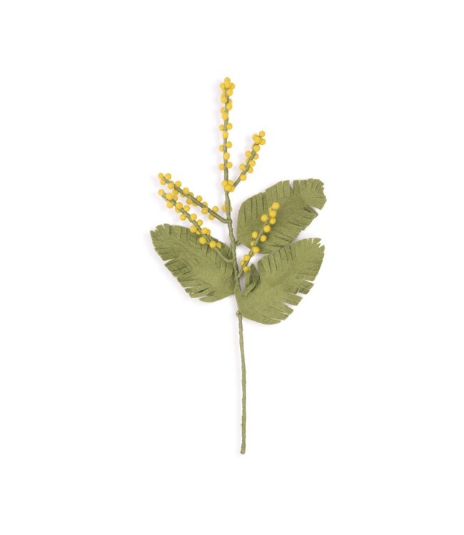 SJAAL MET VERHAAL  •• Mimosa tak van vilt