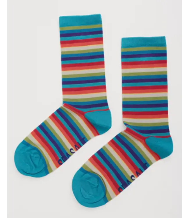 SEASALT CORNWALL •• Womens Sailor Socks | Playwork Azurite Mix