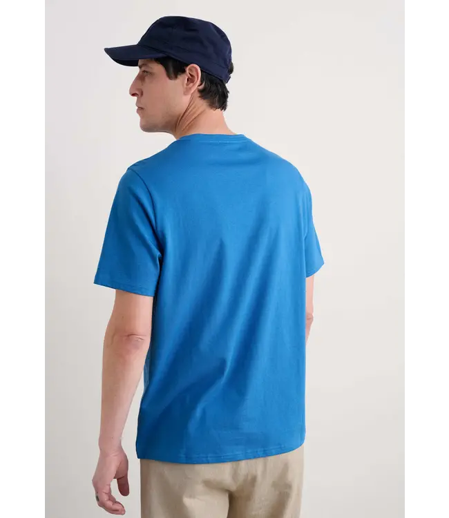 SEASALT CORNWALL •• Men's Midwatch T-shirt | Sail Sketch Borage