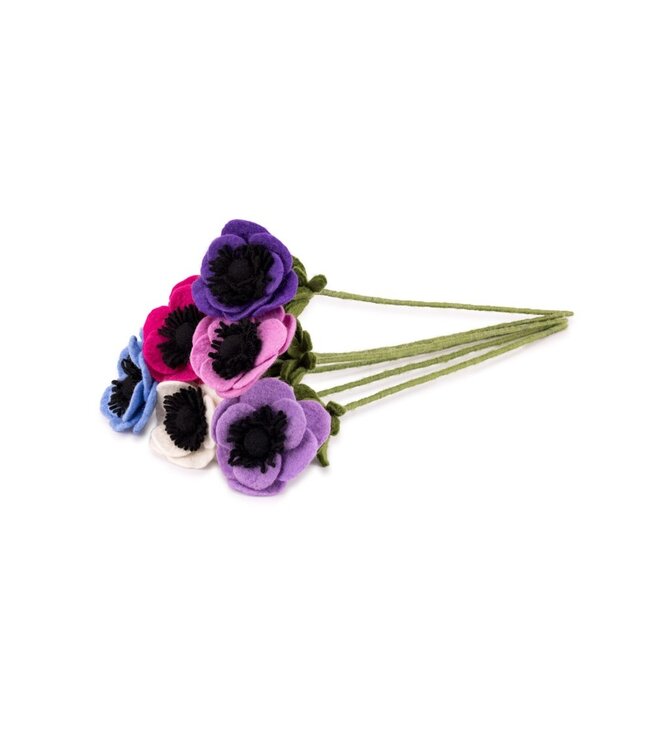 SJAAL MET VERHAAL  •• Anemoon | Verschillende kleuren