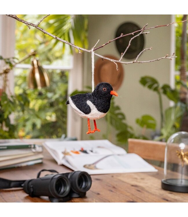 SJAAL MET VERHAAL  •• Vogel Scholekster