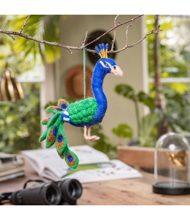 SJAAL MET VERHAAL  •• Pauw van Vilt