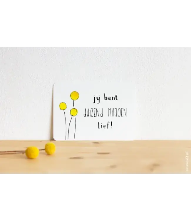 Nina Maakt •• Kaart | Duizend miljoen lief