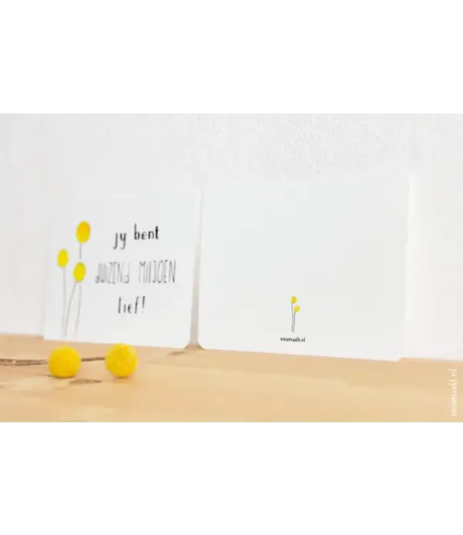 Nina Maakt •• Kaart | Duizend miljoen lief